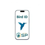 Bird ID - 5000 Transações