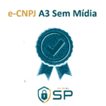 e-CNPJ A3 sem mídia
